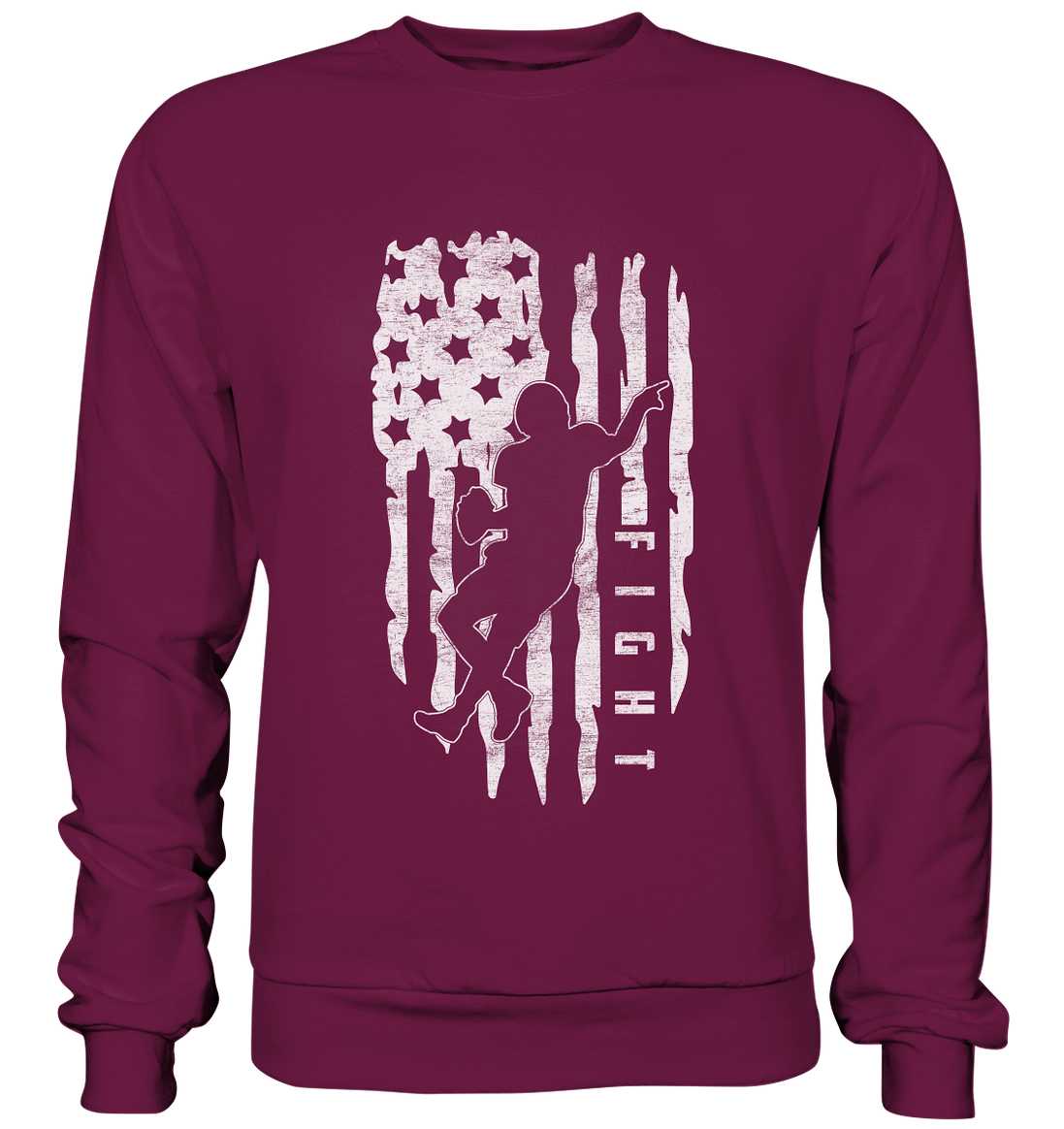 USA Flag Fight - Premium Sweatshirt